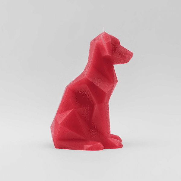 PYROPET-VOFFI-DREKI-HOPPA-CANDLE-CANDELA-ALLUMINIO-SCHELETRO-INTERIOR-DESIGN-OBJECT-OGGETTO-ARREDO-CASA-OGGETTISTICA-